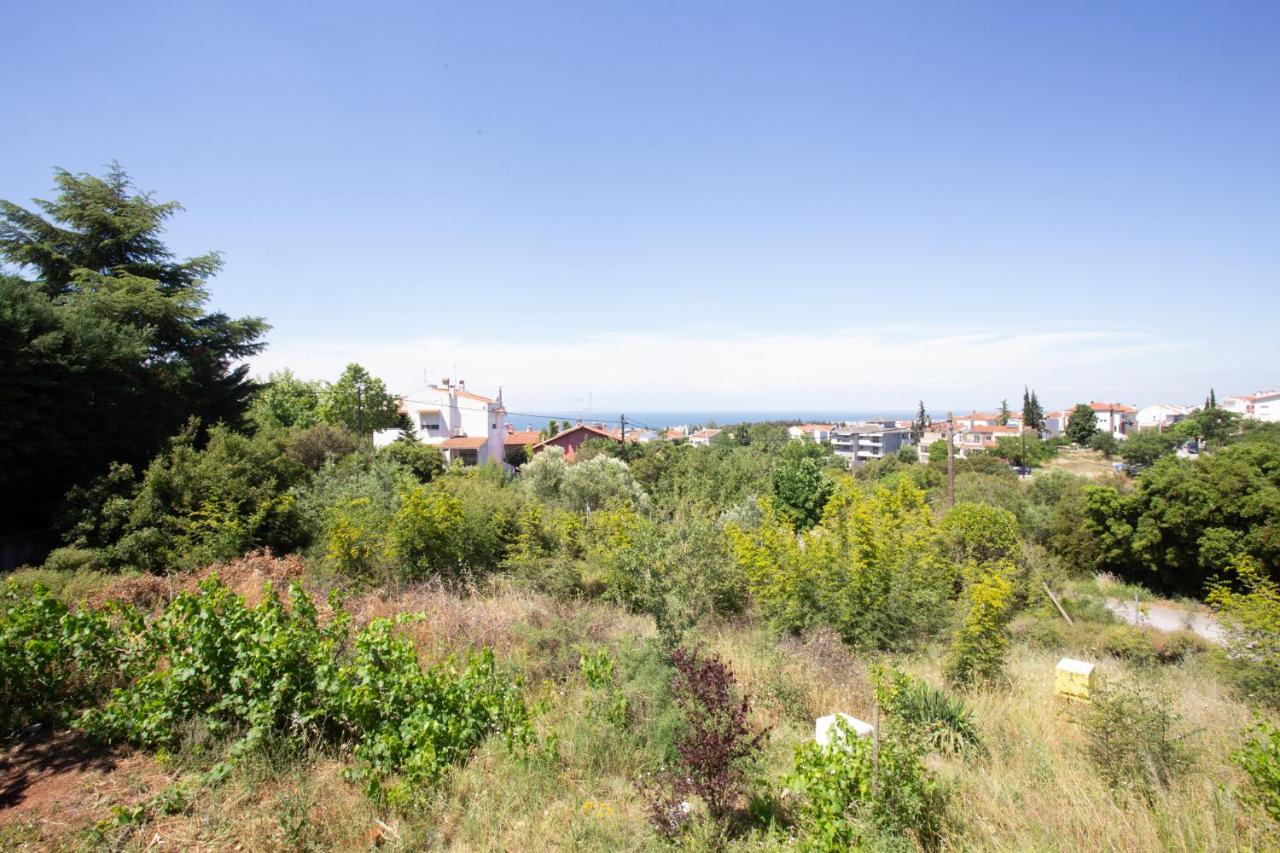 Τraditional Fully Detached Villa On A Luxurious Hillock Of Thessaloniki With Its Own Garden Also For Family & Wedding Gatherings For 10 To 25 People Only 15 Minutes From Airport Екстер'єр фото